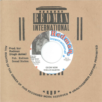 Horace Martin 7 - Dub Store Records