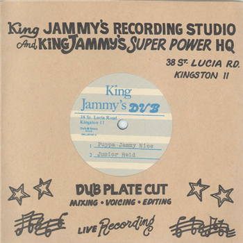 Junior Reid & Little John 7 - Dub Store Records