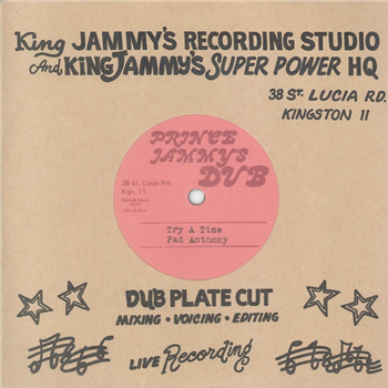 Pad Anthony & Nitty Gritty 7 - Dub Store Records