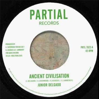 Junior Delgado - Ancient Civilisation - Partial Records