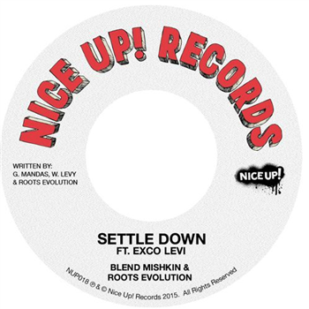 Blend Mishkin & Roots Evolution - Settle Down ft Exco Levi  7 - Nice Up!