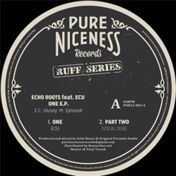 Echo Roots Feat Ecu - Pure Niceness