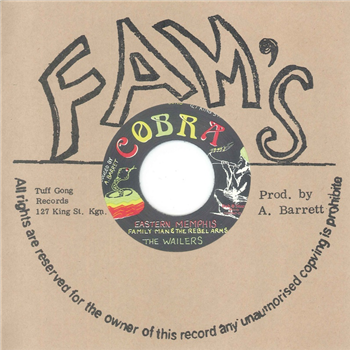 Family Man, The Rebel Arms & The Wailers - Dub Store Records