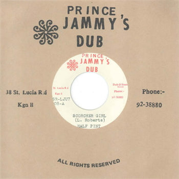 Half Pint & Prince Jammys 7 - Dub Store Records