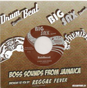 Lloyd Deslandes 7 - Reggae Fever