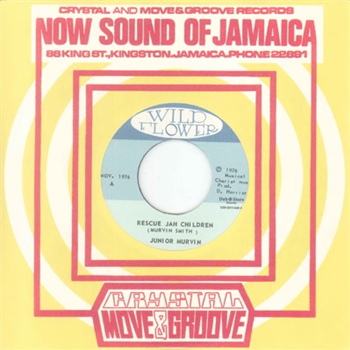 Junior Murvin & Chariot Riders 7 - Wild Flower/Dub Store Records Junior Murvin & Chariot Riders 7 - Wild Flower/Dub Store Records