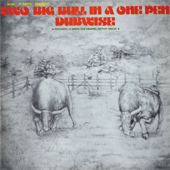 King Tubbys - Two Big Bull in a One Pen (Dubwise Versions) - Dub Store Records