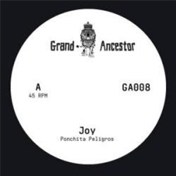 Ponchita Peligros / Helgeland 8bit Squad - Joy - Grand Ancestor