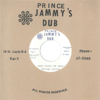 Prince Junior & Prince Jammys 7 - Dub Store Records