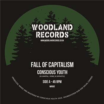 Conscious Youth 7 - Woodland Records