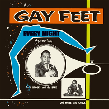 Gay Feet Every Night - VA - Dub Store Records