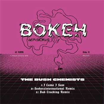 The Bush Chemists - Came I Saw Remixes - Bokeh Versions