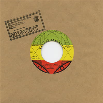 The Wailers - Dream Land / Dubd Version (feat. Bunny Wailer & Solomonic All Stars) - Dub Store Records
