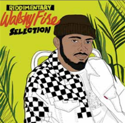 WALSHY FIRE - RIDDEMENTARY SELECTION - VP RECORDS