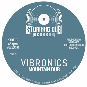 VIBRONICS - Mountain Pressure (7") - Storming Dub