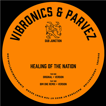 Vibronics & Parvez - Healing Of The Nation (Incl. Bim One Remix) - Dub Junction