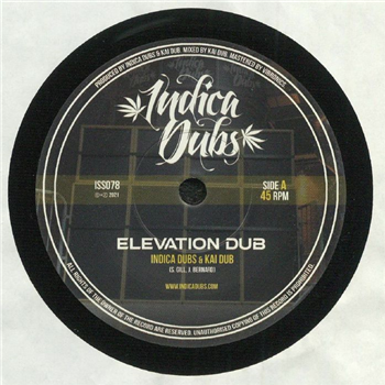 KAI DUB & INDICA DUBS - ELEVATION DUB / HIGHER DUB (7") - Indica Dubs