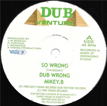 Mike B - So Wrong / Just the Two Of Us - Dub Venture