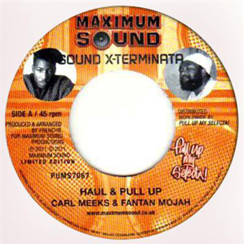 CARL MEEKS & FANTAN MOJAH / LUKIE D - Maximum Sound