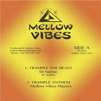 DI NAMIC, MELLOW VIBES PLAYERS / MURRAY MAN - Mellow VIbes DI NAMIC, MELLOW VIBES PLAYERS / MURRAY MAN - Mellow VIbes