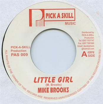 MIKE BROOKS / G.VIBES - PICK A SKILL
