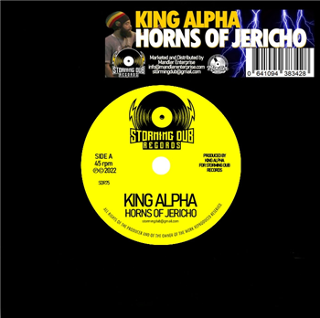 King Alpha 7" - Storming Dub Records