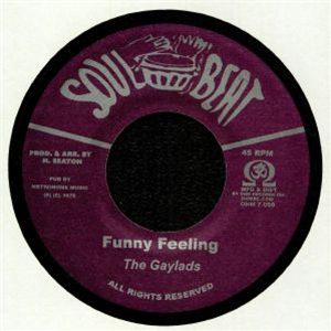 THE GAYLADS / THE CONSCIOUS MINDS - SOUL BEAT THE GAYLADS / THE CONSCIOUS MINDS - SOUL BEAT