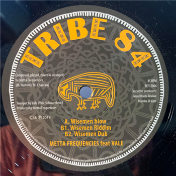 METTA FREQUENCIES ft. VALE - Tribe 84 Records