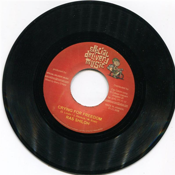 RAS SHILOH / MARK WONDER - special delivery music RAS SHILOH / MARK WONDER - special delivery music