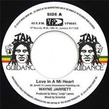 WAYNE JARRETT / ROOTS RADICS - JAH GUIDANCE / VP