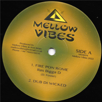 RAS BIGGA D / SISTA MARY - Mellow VIbes