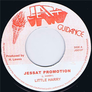 LITTLE HARRY / LITTLE JOHN - Jah Guidance