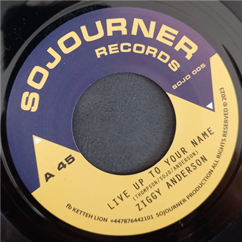 ZIGGY ANDERSON / SOJO & COMPANY - SOJOURNER