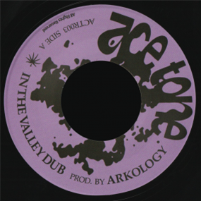 ARKOLOGY - INTO THE VALLEY DUB - ACE TONE
