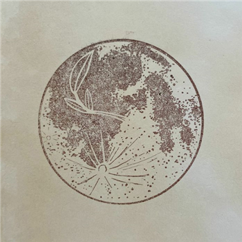 Transient Vessels - Open Channel (7") - Moon Garden