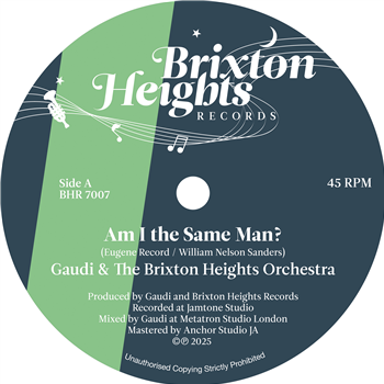Gaudi & The Brixton Heights Orchestra - Am I The Same Man? - Brixton Heights Records