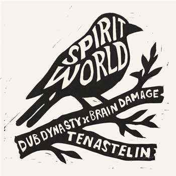Dub Dynasty, Brain Damage, Tenastelin - Spirit World - Steppas Records Dub Dynasty, Brain Damage, Tenastelin - Spirit World - Steppas Records