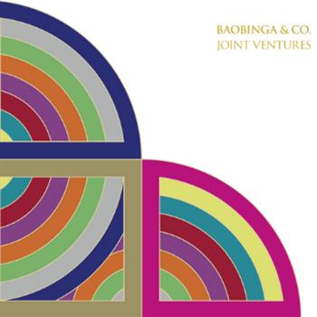 Joint Ventures - Baobinga & Co. Build CD - Build