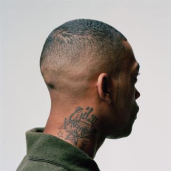 Wiley - 100% publishing CD - Big Dada Recordings