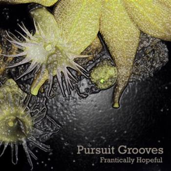 Pursuit Grooves - Frantically Hopeful CD - Tectonic Recordings