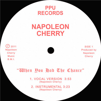 Napoleon Cherry - Peoples Potential Unlimited