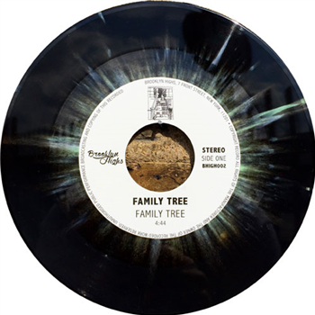 Family Tree / Mighty Ryeders  - BROOKLYN HIGHS