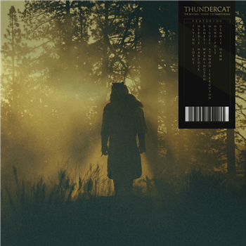 Thundercat - The Beyond / Where The Giants Roam - Brainfeeder