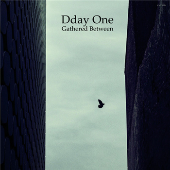 Dday One - Gathered Between - The Content Label
