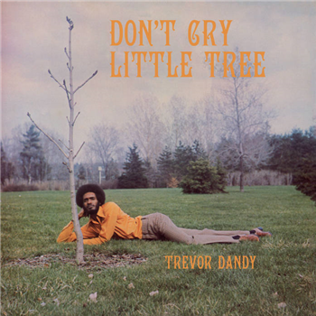 TREVOR DANDY - Dont Cry Little Tree LP - Presch Media GmbH