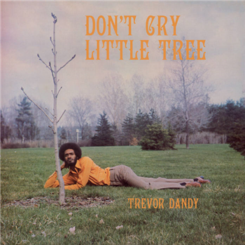 TREVOR DANDY - Dont Cry Little Tree LP - Presch Media GmbH TREVOR DANDY - Dont Cry Little Tree LP - Presch Media GmbH