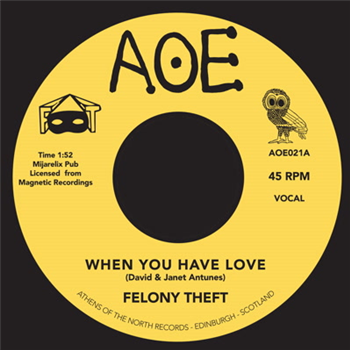 Felony Theft - When You Have Love - AOE