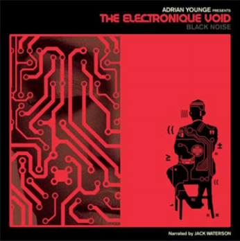 ADRIAN YOUNGE PRESENTS - THE ELECTRONIQUE VOID : BLACK NOISE - Linear Labs