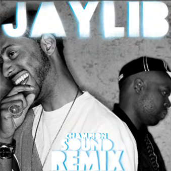 JAYLIB - Champion Sound The Remix - Stones Throw