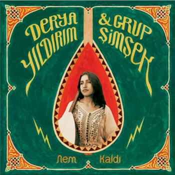 Derya Yildirim & Grup Simsek - Nem Kaldi - CATAPULTE RECORDS Derya Yildirim & Grup Simsek - Nem Kaldi - CATAPULTE RECORDS